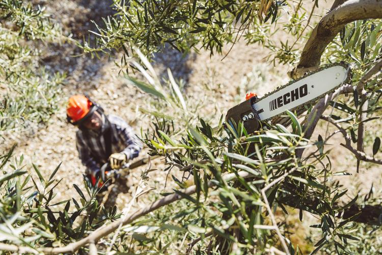 Echo X-Series Power Pruner with telescopic shaft PPT-2620HES - PAS-2620ES-MTA-PP-2019 (14).jpg